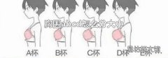 胸圍abcd怎么分大小