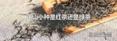 正山小种是红茶还是绿茶