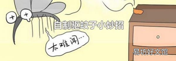 自制驱蚊子小妙招