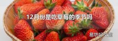 12月份是吃草莓的季节吗