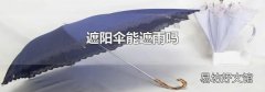 遮阳伞能遮雨吗