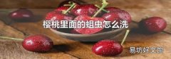 樱桃里面的蛆虫怎么洗
