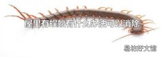 屋里有蜈蚣有什么办法可以消除