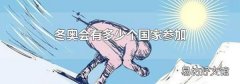 冬奥会有多少个国家参加