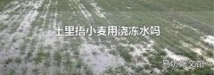 土里捂小麦用浇冻水吗