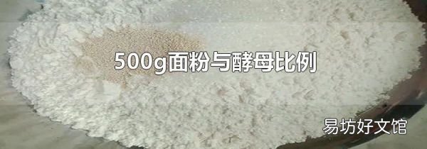 500g面粉与酵母比例