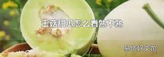 玉菇甜瓜怎么看熟不熟