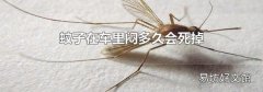 蚊子在车里闷多久会死掉