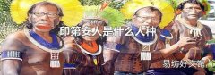 印第安人是什么人种