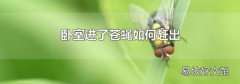 卧室进了苍蝇如何赶出