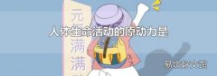 人体生命活动的原动力是