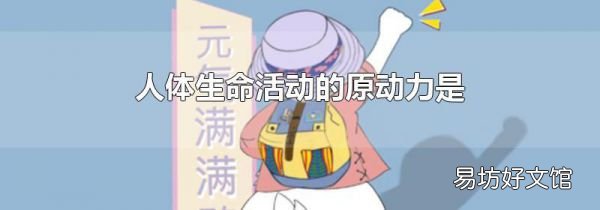人体生命活动的原动力是