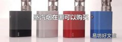 蒸汽烟在哪可以购买