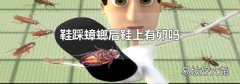 鞋踩蟑螂后鞋上有卵吗
