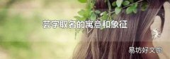 芸字取名的寓意和象征
