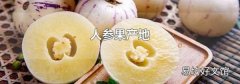 人参果产地