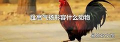 趾高气扬形容什么动物