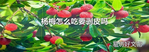 杨梅怎么吃要剥皮吗