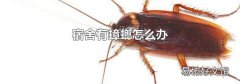 宿舍有蟑螂怎么办