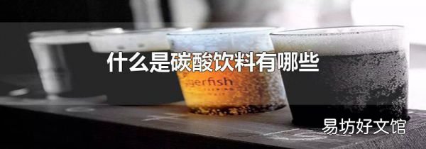 什么是碳酸饮料有哪些