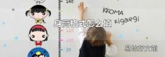 身高格式怎么填