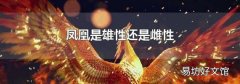 凤凰是雄性还是雌性