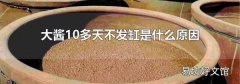 大酱10多天不发缸是什么原因