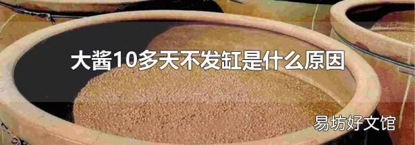 大酱10多天不发缸是什么原因