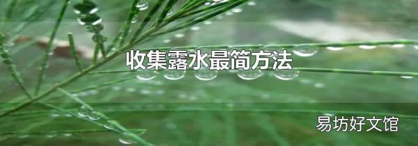 收集露水最简方法