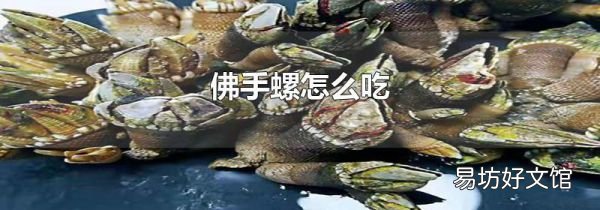 佛手螺怎么吃
