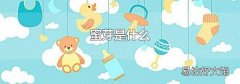 蜜芽是什么