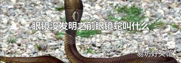 眼镜没发明之前眼镜蛇叫什么