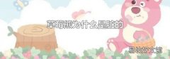 草莓熊为什么是脏的