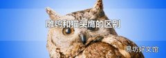 雕鸮和猫头鹰的区别