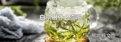 白茶用什么壶泡