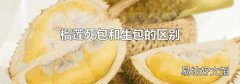 榴莲死包和生包的区别