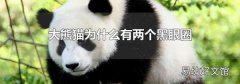大熊猫为什么有两个黑眼圈