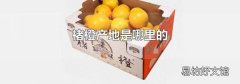 褚橙产地是哪里的