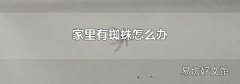 家里有蜘蛛怎么办