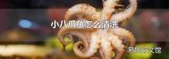 小八爪鱼怎么清洗