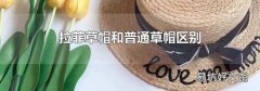 拉菲草帽和普通草帽区别
