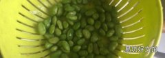 毛豆焯水要多久