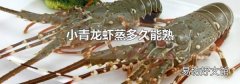 小青龙虾蒸多久能熟