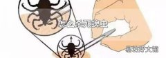 怎么杀死蜱虫