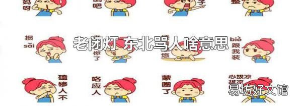 老闭灯 东北骂人啥意思