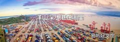 洋山深水港在哪里