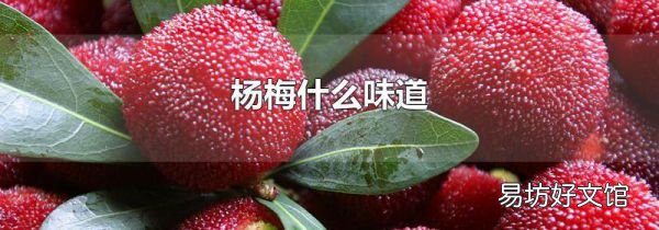 杨梅什么味道