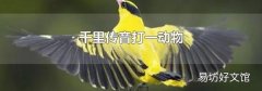 千里传音打一动物