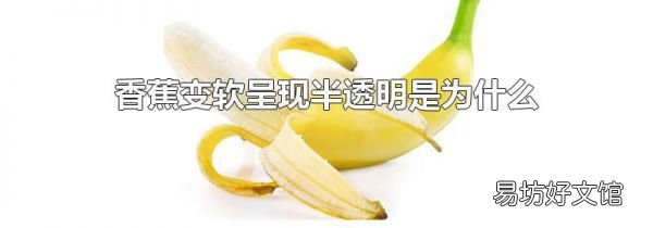 香蕉变软呈现半透明是为什么