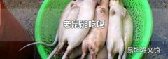 老鼠能吃吗